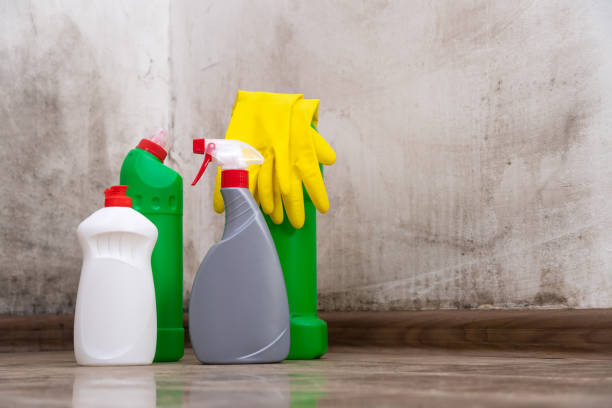 Mold Remediation for Rental Properties in Forest View, IL