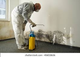 Mold Documentation for Insurance Claims in Forest View, IL